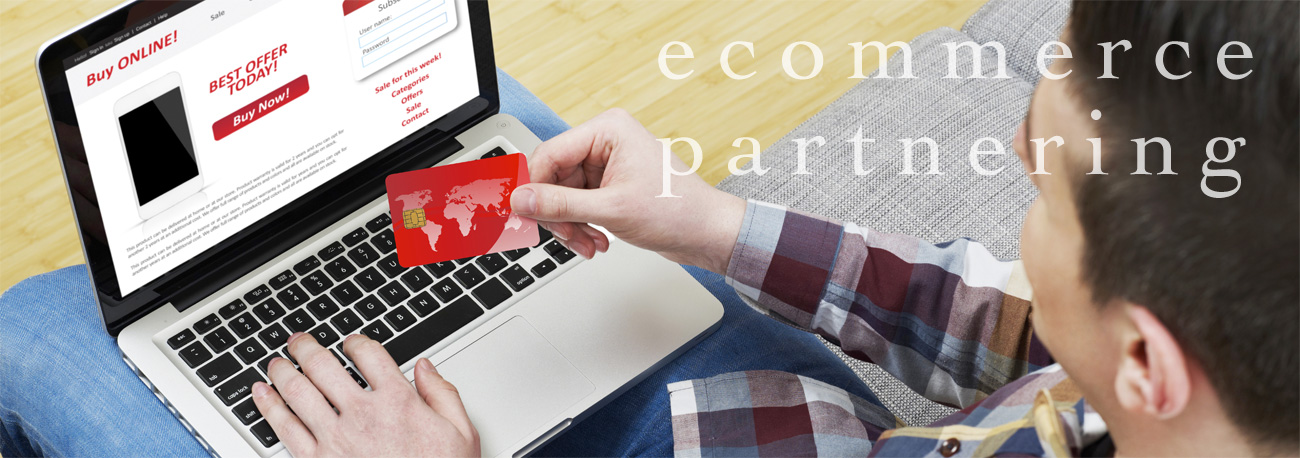 E-commerce Partnering